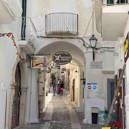 Apartment Cozy Flat By The Sea In The Old Town