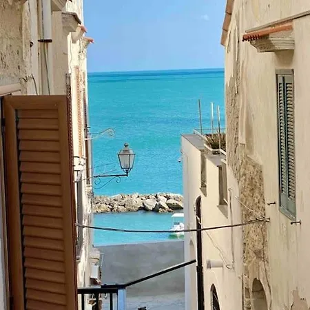 Apartment Cozy Flat By The Sea In The Old Town *